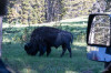 Dateiname=HP_30_06_Yellowstone_Ausfahrt_01.jpg
Dateigröße=354KB
Abmessungen: 1200x800
hinzugefügt am: 05. Juli 2025 HP_30_06_Yellowstone_Ausfahrt_01.jpg