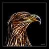 Dateiname=H_Weisskopfseeadler_jung_04.jpg
Dateigröße=411KB
Abmessungen: 905x905
hinzugefügt am: 27. August 2020 H_Weisskopfseeadler_jung_04.jpg