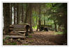 Dateiname=Hattingen_Im_Wald_mit_Fahrzeug_m_R_010.jpg
Dateigröße=646KB
Abmessungen: 850x589
hinzugefügt am: 08. September 2012 Hattingen_Im_Wald_mit_Fahrzeug_m_R_010.jpg