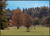 Dateiname=Herbstanfang_in_Bayern_k-.jpg
Dateigröße=1465KB
Abmessungen: 1400x1012
hinzugefügt am: 02. Oktober 2024 Herbstanfang_in_Bayern_k-.jpg