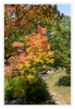 Herbstfarben_01.jpg