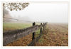 Dateiname=Herbstlich_02~0.jpg
Dateigröße=460KB
Abmessungen: 850x589
hinzugefügt am: 23. Oktober 2016 Herbstlich_02~0.jpg