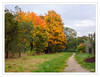 Dateiname=Herbstlich_a__04.jpg
Dateigröße=1058KB
Abmessungen: 1200x928
hinzugefügt am: 14. Oktober 2022 Herbstlich_a__04.jpg