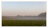 Dateiname=Herbstlich_mit_Nebel_04.jpg
Dateigröße=534KB
Abmessungen: 1200x713
hinzugefügt am: 11. Oktober 2021 Herbstlich_mit_Nebel_04.jpg