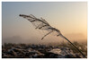 Dateiname=Herbstlichtstimmung_02~0.jpg
Dateigröße=473KB
Abmessungen: 1200x815
hinzugefügt am: 10. Oktober 2021 Herbstlichtstimmung_02~0.jpg