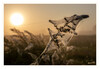 Dateiname=Herbstlichtstimmung_03.jpg
Dateigröße=552KB
Abmessungen: 1200x830
hinzugefügt am: 11. Oktober 2021 Herbstlichtstimmung_03.jpg
