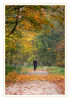 Herbstweg_03.jpg