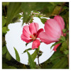 Hibiskus_gespiegelt_07.jpg