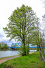 Dateiname=Hochformat_Perla_Es_gruent.jpg
Dateigröße=1311KB
Abmessungen: 795x1200
hinzugefügt am: 05. April 2024 Hochformat_Perla_Es_gruent.jpg