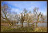 Dateiname=Hochwasser_am_Rhein_025_Kopie.jpg
Dateigröße=449KB
Abmessungen: 850x581
hinzugefügt am: 10. Januar 2011 Hochwasser_am_Rhein_025_Kopie.jpg
