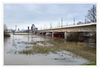 Hochwasser_am_Rhein_11.jpg