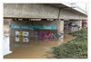 Hochwasser_am_Rhein_13.jpg