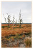 Dateiname=Hohes_Venn_K_039.jpg
Dateigröße=571KB
Abmessungen: 583x850
hinzugefügt am: 15. November 2015 Hohes_Venn_K_039.jpg