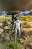 Dateiname=Hp_21_05_Roswell_Museum_02.jpg
Dateigröße=1135KB
Abmessungen: 800x1200
hinzugefügt am: 22. Mai 2025 Hp_21_05_Roswell_Museum_02.jpg