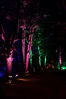 Illumina_Weg_02automatisch.jpg