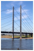 Ingenieurskunst_Seile_der_Rheinkniebruecke_Marianne.jpg