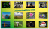 Dateiname=Jahresrueckblick_Nanne.jpg
Dateigröße=693KB
Abmessungen: 1245x751
hinzugefügt am: 30. Dezember 2022 Jahresrueckblick_Nanne.jpg