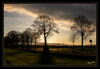 Dateiname=Januarsonne_k_06.jpg
Dateigröße=952KB
Abmessungen: 1200x831
hinzugefügt am: 27. Januar 2022 Januarsonne_k_06.jpg