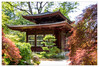 Dateiname=Japanischer_Garten_Haus_01.jpg
Dateigröße=1458KB
Abmessungen: 1200x814
hinzugefügt am: 27. Mai 2023 Japanischer_Garten_Haus_01.jpg
