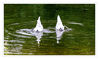 Dateiname=Jroene_Meerke_Schwan_08.jpg
Dateigröße=687KB
Abmessungen: 1024x611
hinzugefügt am: 18. Juli 2019 Jroene_Meerke_Schwan_08.jpg