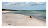 Dateiname=Juliusruh2C_Dolwen_Strand_mit_Joy__08.jpg
Dateigröße=451KB
Abmessungen: 1024x611
hinzugefügt am: 21. Juni 2017 Juliusruh2C_Dolwen_Strand_mit_Joy__08.jpg