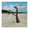Dateiname=Juliusruh2C_Dolwen_Strandbaum__01.jpg
Dateigröße=611KB
Abmessungen: 850x850
hinzugefügt am: 18. Juni 2017 Juliusruh2C_Dolwen_Strandbaum__01.jpg