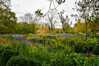 Dateiname=K-H_Hoepfner_Herbstblumen.jpg
Dateigröße=365KB
Abmessungen: 1200x800
hinzugefügt am: 27. Oktober 2022 K-H_Hoepfner_Herbstblumen.jpg