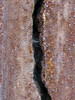 Dateiname=K-H_Hoepfner_Riss_im_Stahlguss.jpg
Dateigröße=305KB
Abmessungen: 900x1200
hinzugefügt am: 08. April 2023 K-H_Hoepfner_Riss_im_Stahlguss.jpg