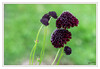 Dateiname=K_Botanischer_Garten_07.jpg
Dateigröße=607KB
Abmessungen: 1200x832
hinzugefügt am: 18. Juli 2021 K_Botanischer_Garten_07.jpg