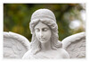 Dateiname=K_Melatenfriedhof_Engel_Detail_01.jpg
Dateigröße=486KB
Abmessungen: 1200x829
hinzugefügt am: 01. November 2022 K_Melatenfriedhof_Engel_Detail_01.jpg