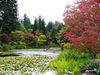 Kanada_Van_Dusen_Botanical_Garden_Vancouver_04.jpg