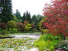 Dateiname=Kanada_Van_Dusen_Botanical_Garden_Vancouver_04.jpg
Dateigröße=867KB
Abmessungen: 850x638
hinzugefügt am: 13. Januar 2014 Kanada_Van_Dusen_Botanical_Garden_Vancouver_04.jpg