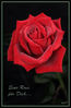 Dateiname=Karte_Rote_Rose_nass_Nachtrag_grün.jpg
Dateigröße=231KB
Abmessungen: 549x840
hinzugefügt am: 08. Mai 2008 Karte_Rote_Rose_nass_Nachtrag_grün.jpg