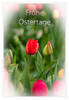 Dateiname=Karte_mit_Tulpe_nah_05.jpg
Dateigröße=444KB
Abmessungen: 828x1200
hinzugefügt am: 29. März 2024 Karte_mit_Tulpe_nah_05.jpg