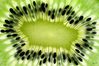 Kiwi_012_0_1.jpg
