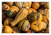 Dateiname=Kuerbisse_12.jpg
Dateigröße=898KB
Abmessungen: 1200x829
hinzugefügt am: 08. Oktober 2021 Kuerbisse_12.jpg