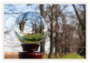 Dateiname=Kugelfoto_Kastanienallee_01.jpg
Dateigröße=412KB
Abmessungen: 850x593
hinzugefügt am: 28. März 2014 Kugelfoto_Kastanienallee_01.jpg