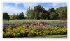 LaGa_Neuss_Landschaft_02.jpg
