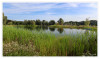 Dateiname=LaGa_Neuss_Landschaft_See_03.jpg
Dateigröße=1700KB
Abmessungen: 1600x955
hinzugefügt am: 04. August 2026 LaGa_Neuss_Landschaft_See_03.jpg