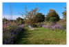 Dateiname=LaGa_morgens_2_Blumenbeet_02.jpg
Dateigröße=1342KB
Abmessungen: 1200x829
hinzugefügt am: 26. August 2026 LaGa_morgens_2_Blumenbeet_02.jpg