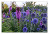 Dateiname=Laga_Blumen_01.jpg
Dateigröße=831KB
Abmessungen: 1200x829
hinzugefügt am: 03. August 2026 Laga_Blumen_01.jpg