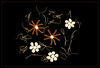 Dateiname=Lebensmittel_auch_Gerichte_Nudeln_s_01.jpg
Dateigröße=312KB
Abmessungen: 1200x816
hinzugefügt am: 27. Januar 2024 Lebensmittel_auch_Gerichte_Nudeln_s_01.jpg