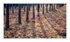 Dateiname=Licht_und_Schatten_01.jpg
Dateigröße=1201KB
Abmessungen: 1200x730
hinzugefügt am: 29. Dezember 2020 Licht_und_Schatten_01.jpg
