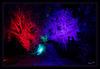Dateiname=Lichterfest_Schloss_Dyck_Busch_01.jpg
Dateigröße=835KB
Abmessungen: 1024x707
hinzugefügt am: 10. September 2018 Lichterfest_Schloss_Dyck_Busch_01.jpg