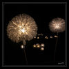 Dateiname=Lichterfest_Schloss_Dyck_Pusteblumen_04.jpg
Dateigröße=344KB
Abmessungen: 850x850
hinzugefügt am: 10. September 2018 Lichterfest_Schloss_Dyck_Pusteblumen_04.jpg