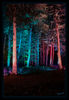 Dateiname=Lichterfest_Schloss_Dyck_Zauberwald_03.jpg
Dateigröße=941KB
Abmessungen: 707x1024
hinzugefügt am: 11. September 2018 Lichterfest_Schloss_Dyck_Zauberwald_03.jpg