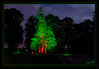 Lichtfestival_Schloss_Dyck_3_Baeume_03.jpg