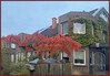 Dateiname=Lieblingsbaum_ba-R-k-pg.jpg
Dateigröße=1168KB
Abmessungen: 1400x972
hinzugefügt am: 15. Oktober 2024 Lieblingsbaum_ba-R-k-pg.jpg