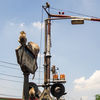Dateiname=Lopburi_Affen__01.jpg
Dateigröße=521KB
Abmessungen: 850x850
hinzugefügt am: 30. Juli 2014 Lopburi_Affen__01.jpg