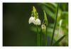 Dateiname=Maerzenbecher_04.jpg
Dateigröße=536KB
Abmessungen: 1200x829
hinzugefügt am: 16. März 2023 Maerzenbecher_04.jpg